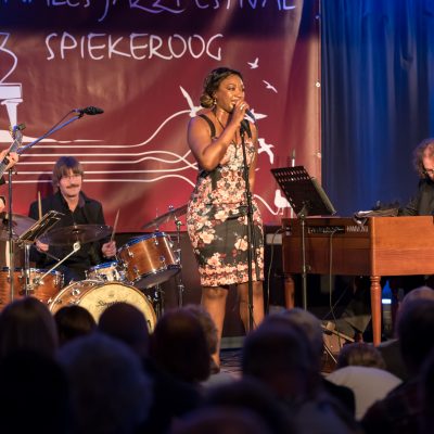 Dirk Van der Linden Trio + Denise Gordon
